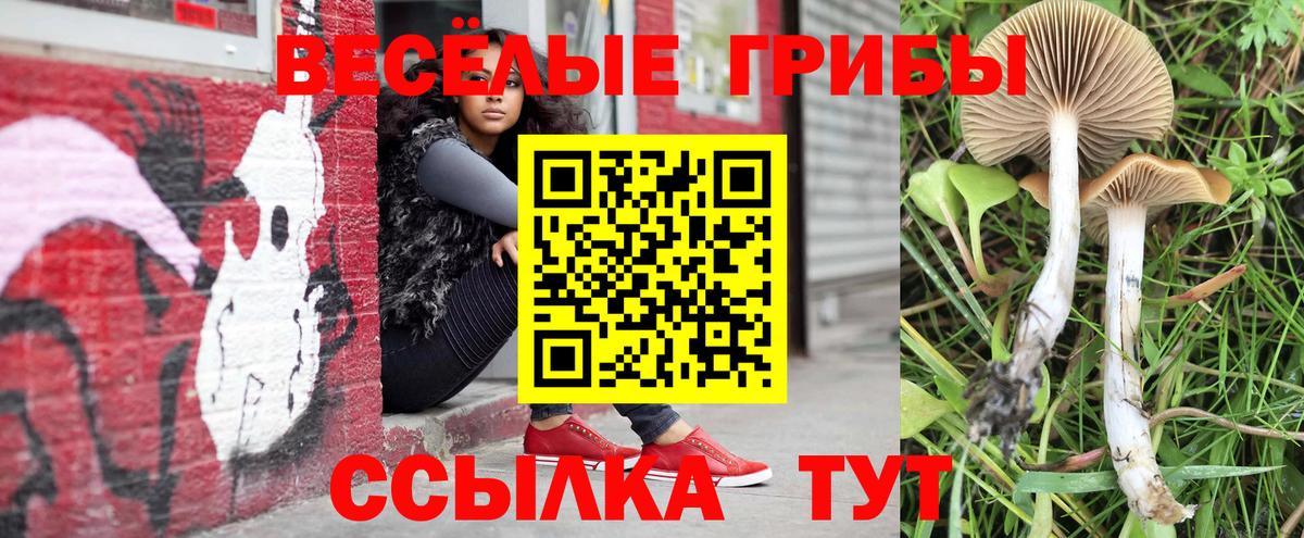 Псилоцибиновые грибы прущие грибы Вольск