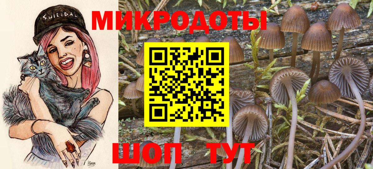 Вольск  Галлюциногенные грибы мухоморы  Вход с VPN 